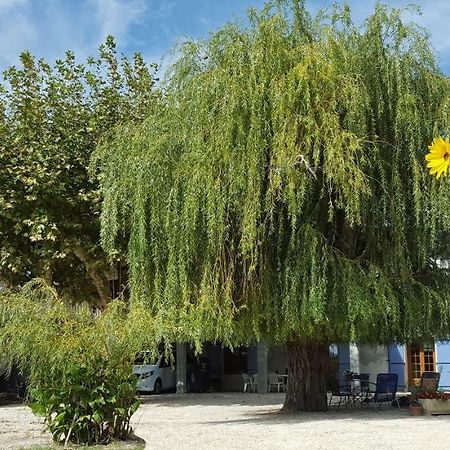 Гостевой дом Dreams Of Provence Courthezon Экстерьер фото